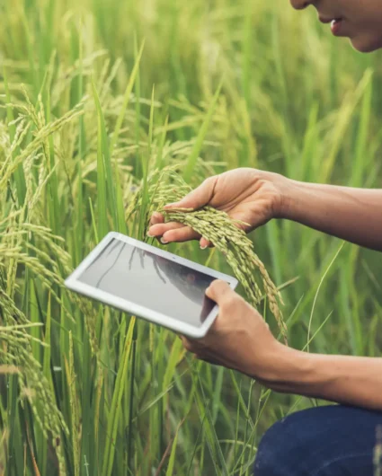 Best Agriculture Android App Development for Farmers