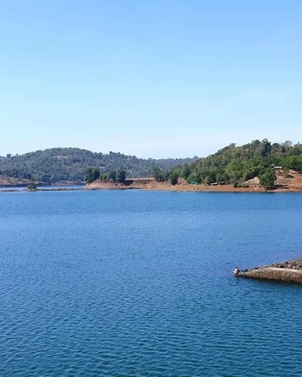 Best Tourism Website and App Development Success Story